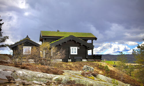 Foto: Leif Magne Flemmen