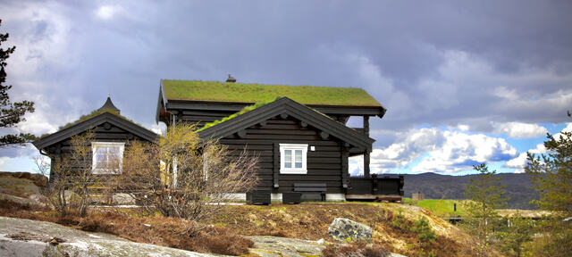 Foto: Leif Magne Flemmen