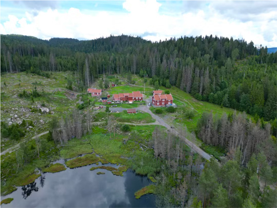 Lørensetertjern-bever.jpg