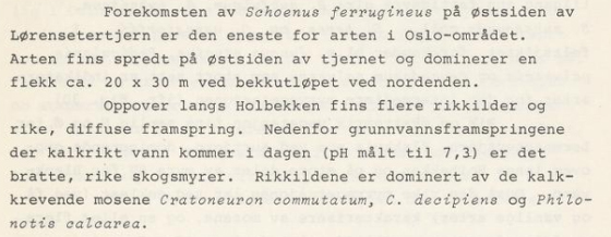 Brunskjene.jpg