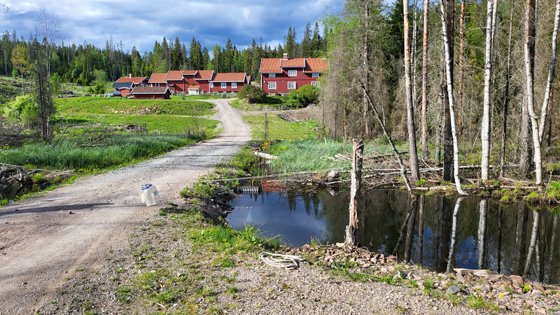 Lørensetertjern1.jpg
