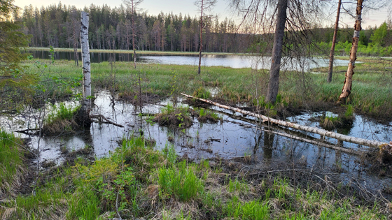 Østre-Aurtjern.jpg