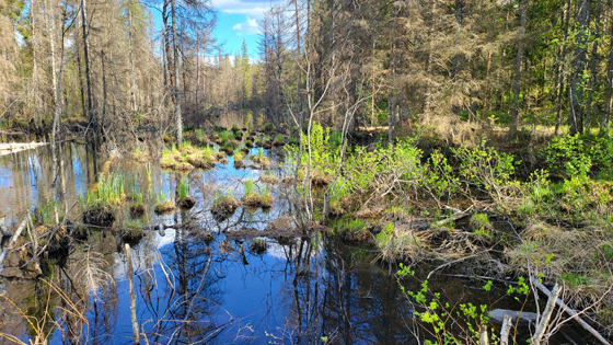 Østre-Aurtjern-2.jpg