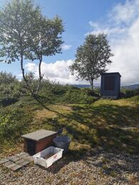 Røykeri