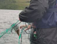 Notbasen Trond med fisk i garnet