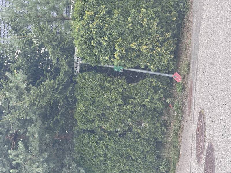 Saksbilde
