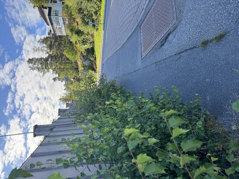 Saksbilde