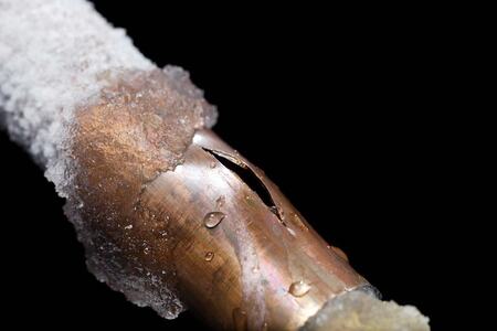 Shutterstock-Tryg Forsikring