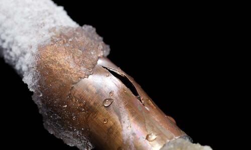 Shutterstock-Tryg Forsikring