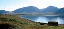 naturen musespises_500x231