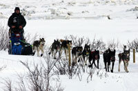 hundekj