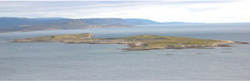 sjoholmen