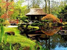 Japansk hage